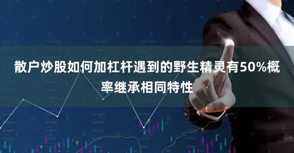 散户炒股如何加杠杆遇到的野生精灵有50%概率继承相同特性