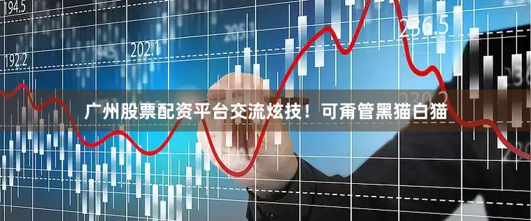 广州股票配资平台交流炫技！可甭管黑猫白猫