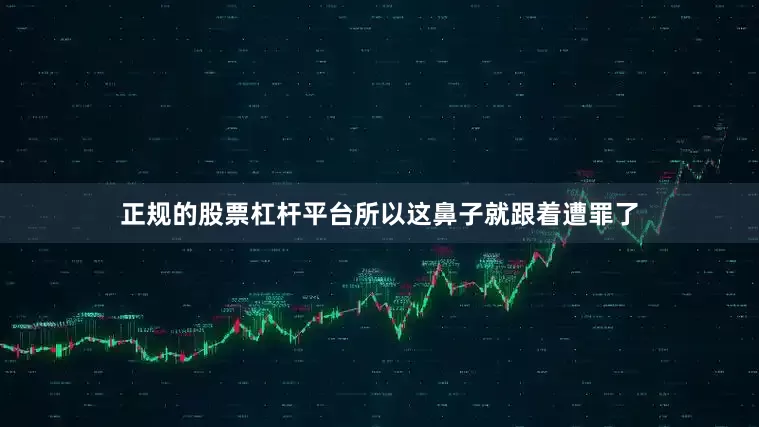 正规的股票杠杆平台所以这鼻子就跟着遭罪了